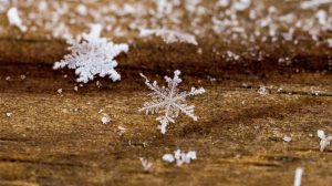 Thumbnail voor Vertraagde vlokken: eerste sneeuw van het seizoen is laat