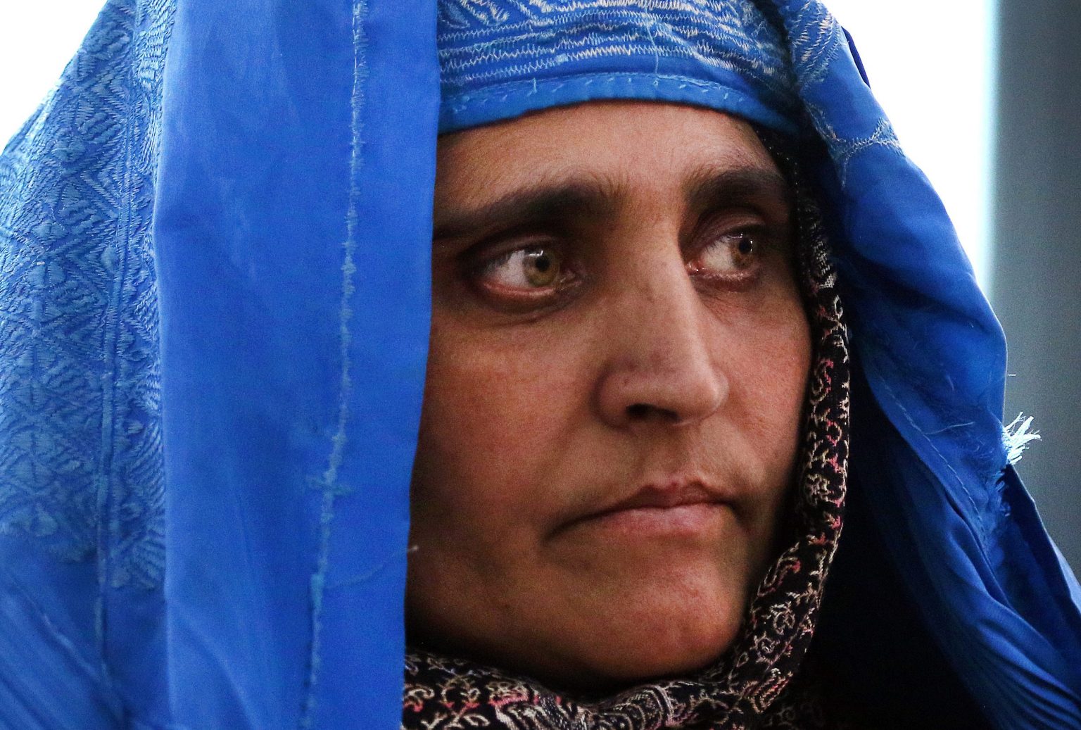 Afghaans 'meisje met de groene ogen' geëvacueerd uit Afghanistan - LINDA.nl