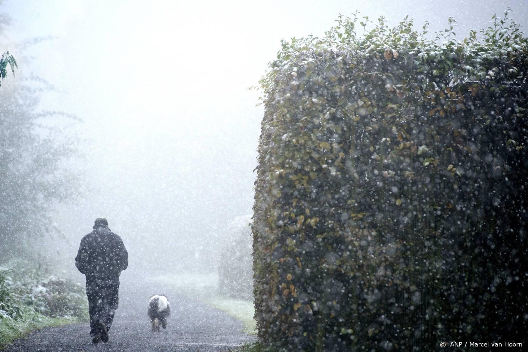 gemiddeld-slechts-twee-uur-zon-blue-monday
