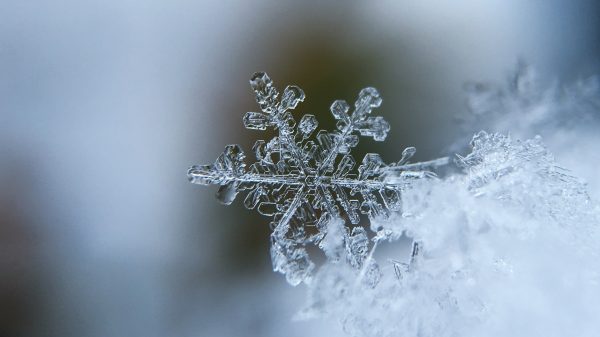 Witte wereld: eerste sneeuwval van het najaar in Brabant en Gelderland