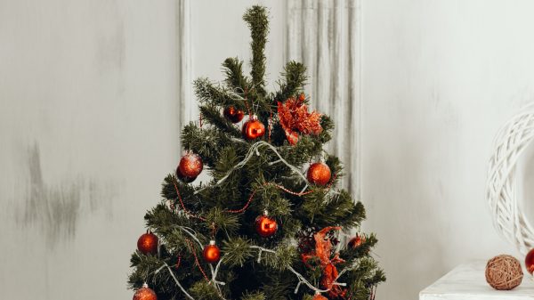 kerstboom