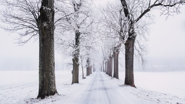 piet paulusma sneeuw ijs winterweer