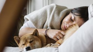 Thumbnail voor Eerste opleiding tot uitvaartverzorger voor dieren gestart: 'In Nederland doen we er lacherig over'