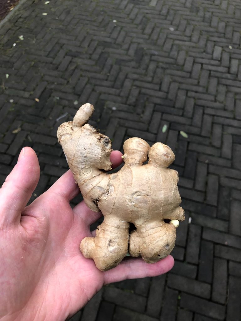 Op Marktplaats wordt flink geboden op de - hou je vast - gemberkameel van Ivo