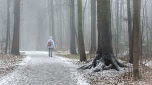 Thumbnail voor Winterweer op komst: maandagavond kans op sneeuw in het oosten