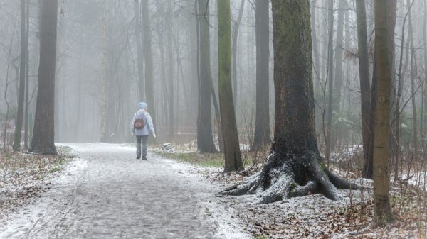 Kans op sneeuw door weersomslag