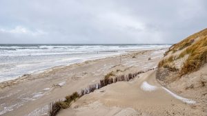 Thumbnail voor Grote maanvis aangespoeld op Ameland