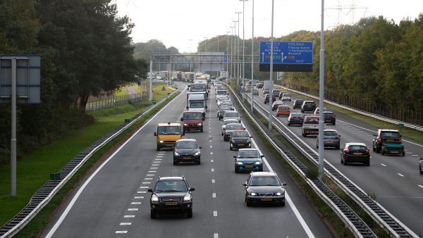 Persoon omgekomen die vermoedelijk achter hond aan de A58 op liep