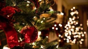 Thumbnail voor Jouw kerstboom kan de oorzaak van je kriebelneus en jeuk zijn: ‘Probeer contact te vermijden’