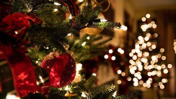 Jouw kerstboom kan de oorzaak van je kriebelneus en jeuk zijn