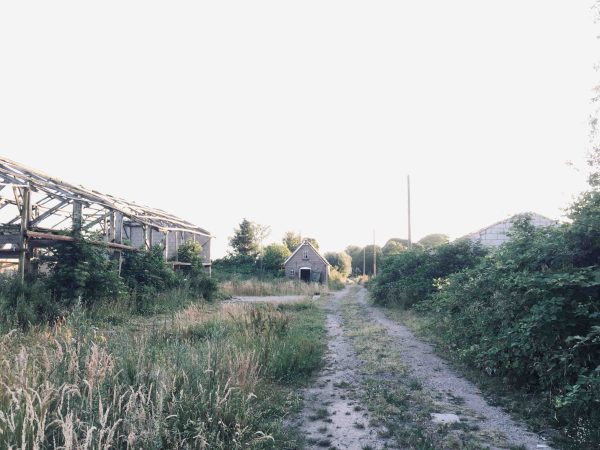 nijbroek-mensen kopie