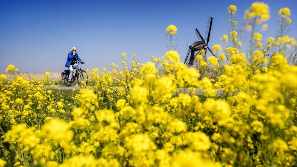 Weer.nl: 2022 wordt jaar zonder al te veel weersextremen