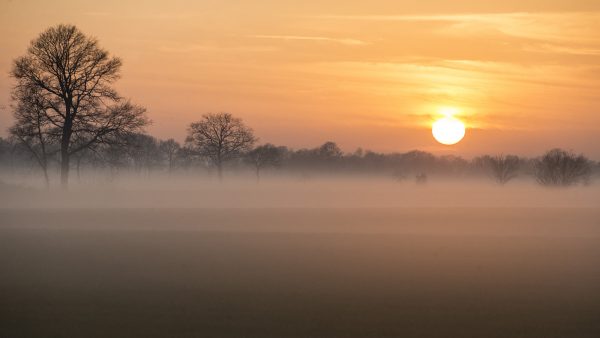 Dichte mist in westen van het land, minder dan 200 meter: