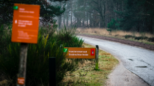 Thumbnail voor Geen nader onderzoek op Strabrechtse Heide, graf Tanja Groen niet gevonden