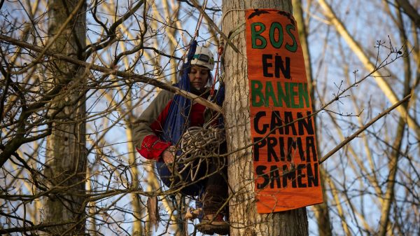 Burgemeester roept bezetters Sterrebos op te vertrekken