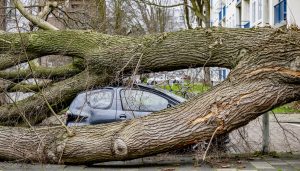 Thumbnail voor Verzekeraars schatten schade door storm Corrie op ruim 10 miljoen