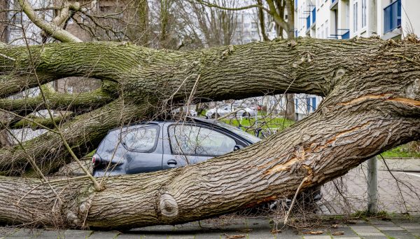 Schade door storm Corrie