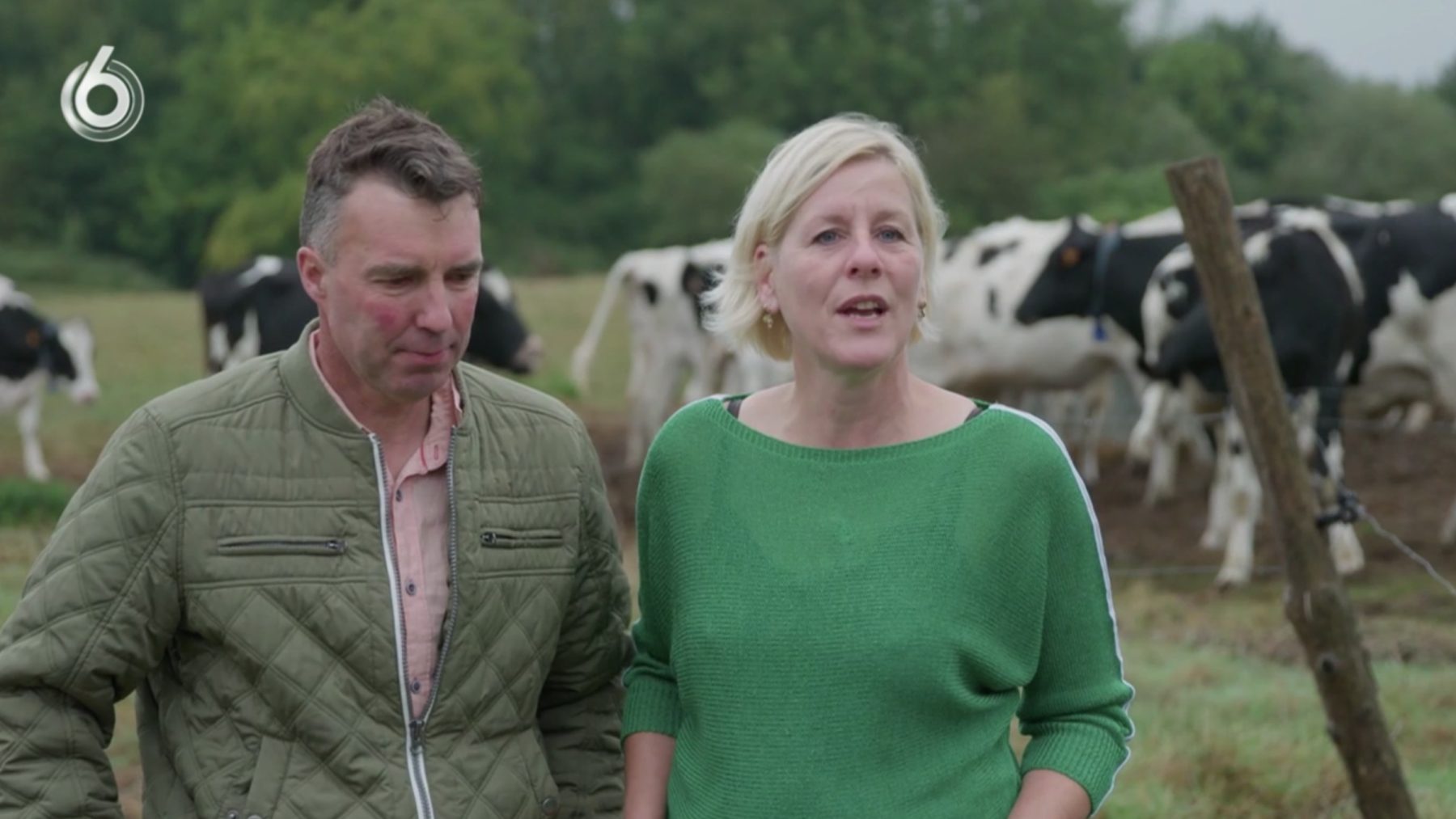 Wilco en Patricia jagen hun droom na op een Franse melkveeboerderij: 'Het dieptepunt waren de dooie koeien'