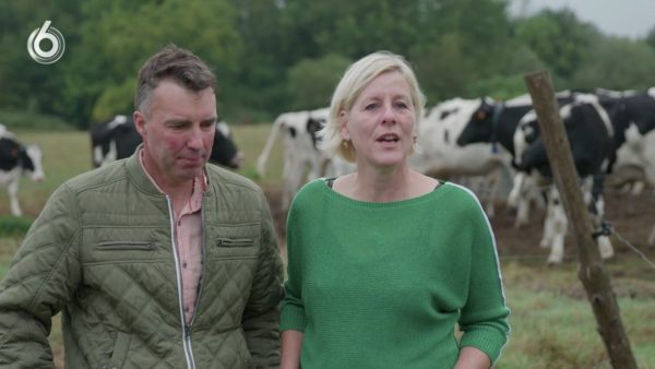 Wilco et Patricia achètent une ferme française : « Le point bas ?  Les vaches mortes