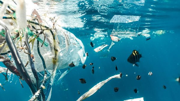 Plastic in de oceaan verviervoudigd tegen 2050: 'Omonkeerbaar proces'