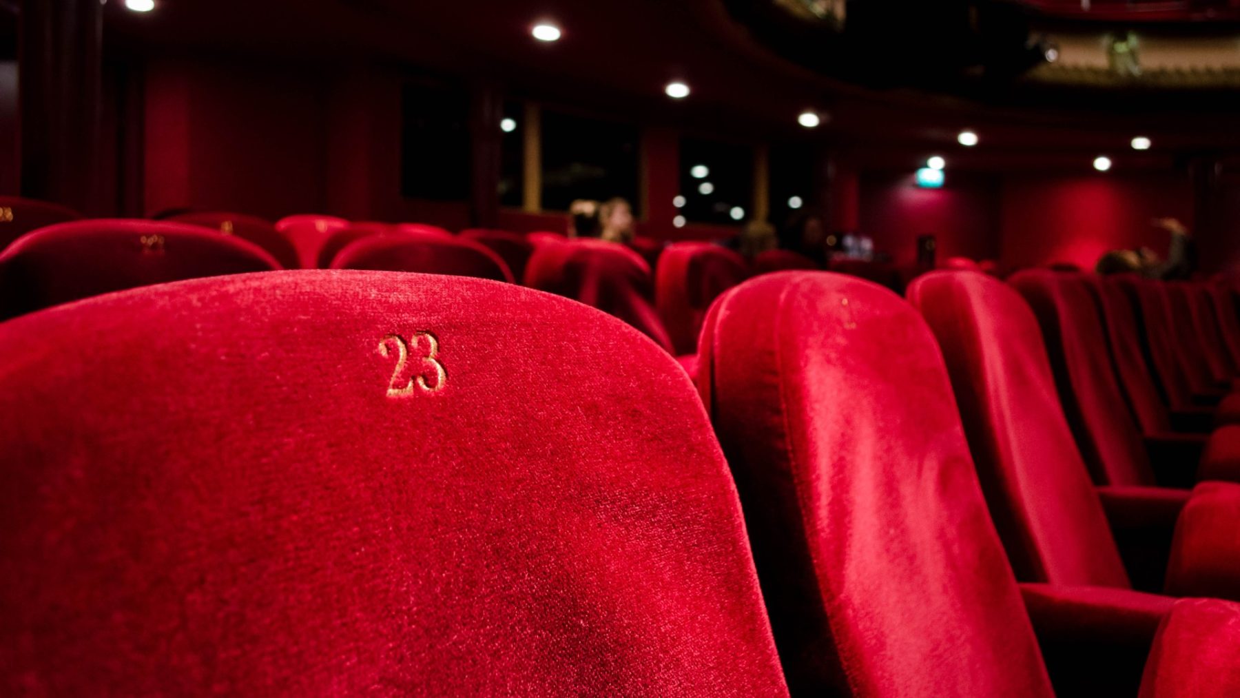 Kabinet wil versoepelen: volle zalen en theaters en horeca open tot 01.00 uur