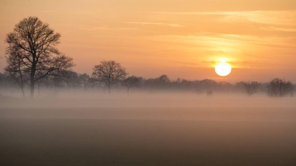 Ook geen winterweer in laatste weken meteorologische winter