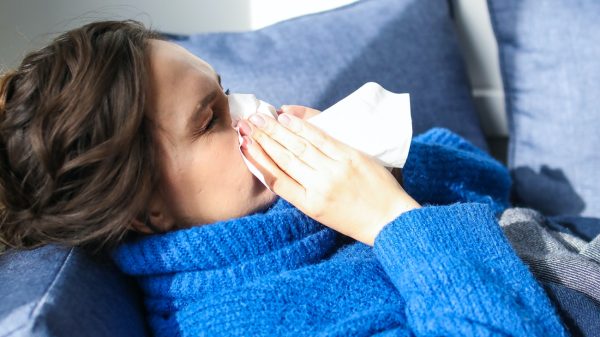 Kans op hooikoorts neemt toe bij gebrek aan koude winter