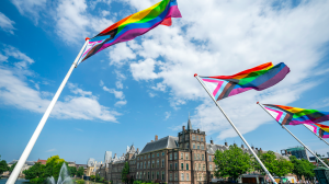 Thumbnail voor Raad van State sceptisch over verbod op 'homogenezing': 'In strijd met grondrechten'