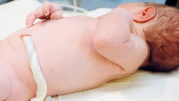 De lotusbevalling: wachten tot navelstreng en placenta vanzelf loslaten