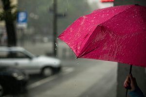 Thumbnail voor Heb je ondanks deze tips toch stormschade door Eunice? Deel je foto's met ons