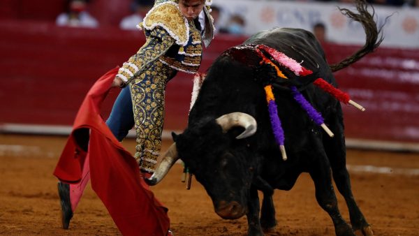 Spanje wil dierenrechten versterken, maar negeert stierenvechten