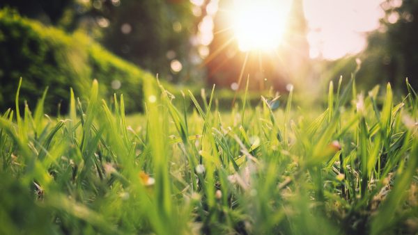 Zonnige maandag belooft droge en lenteachtige week