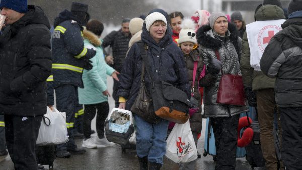 Honderden mensen bieden opvangplek aan voor dieren uit Oekraïne