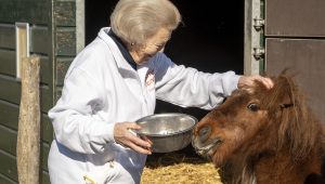 Prinses Beatrix klust mee op kinderboerderij in Bilthoven
