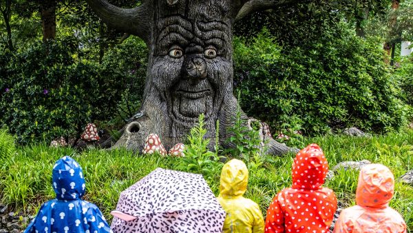 Handen af van carrousel, Spookslot en Sprookjesbos in Efteling: ‘Veel waardevols gaat verloren’