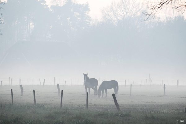 Code geel wegens dichte mist in noorden en oosten