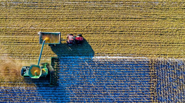 VN-voedselchef vreest ergste voedselcrisis sinds Tweede Wereldoorlog