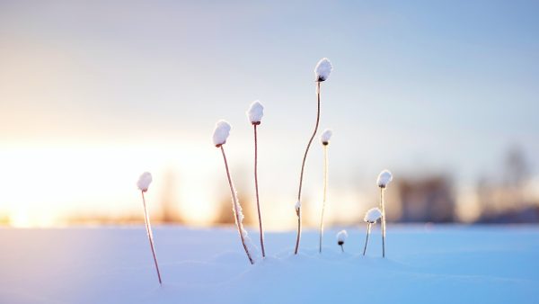 April doet wat hij wil: zet je schrap voor een pak sneeuw