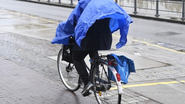 Komende dagen veel regen, maar volgende week weer 20 graden