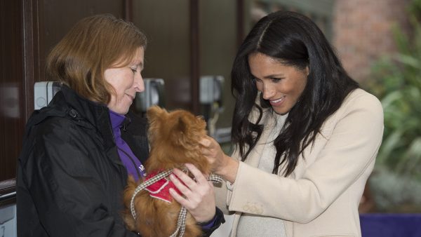 Meghan Markle niet langer beschermvrouw van Britse dierenorganisatie