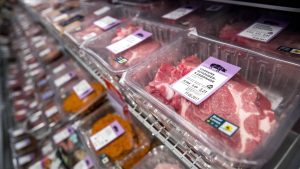Thumbnail voor Meer controle en bijscholing: vleessector scherpt eigen gedragscode aan voor verbeteren dierenwelzijn