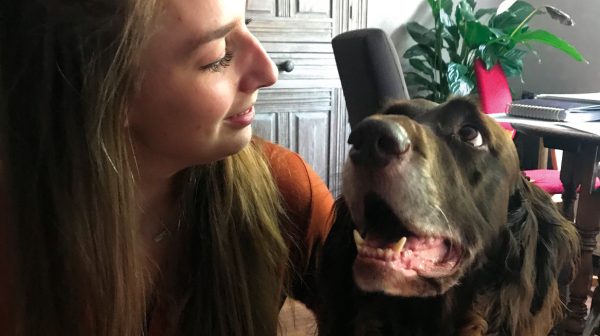 Rowan bracht haar hond naar een dierenbegraafplaats