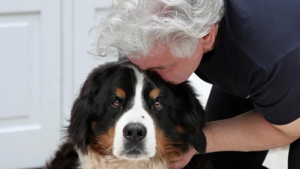 Frogers moeten afscheid nemen van hond Bobby: 'Doet zo ontzettend veel pijn'