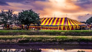 Thumbnail voor Drie artiesten Duitse Circus Renz opgepakt in Arnhem vanwege poging tot moord