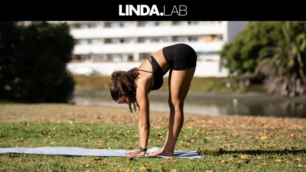 LINDA.lab