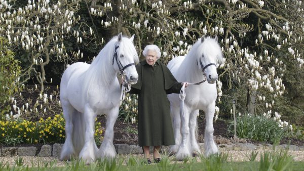 koningin elizabeth Royalty fotograaf Henry Dallal: 'Koningin Elizabeth lacht altijd op foto’s'