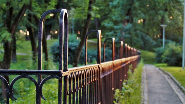 Park neergestoken jongen jeugddetentie