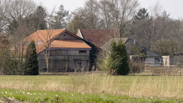 Advocaat klusjesman Ruinerwold wraakt rechters