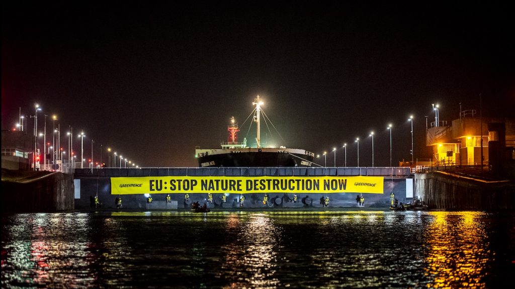 Greenpeace blokkeert schip met 60 miljoen kilo soja in IJmuiden