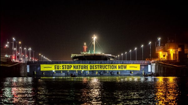 Greenpeace blokkeert schip met 60 miljoen kilo soja in IJmuiden